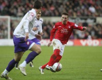 /album/forest-barnsley/majewski-jpg/